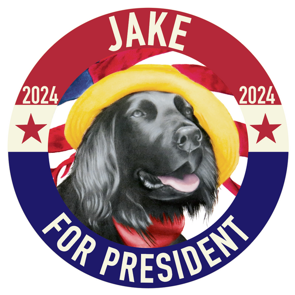 Vote Fur Jake 2024