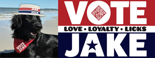 Vote Jake: Bumper Sticker