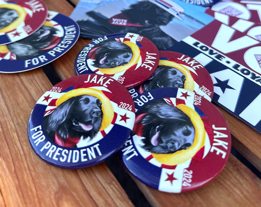 Jake For President Campaign Button